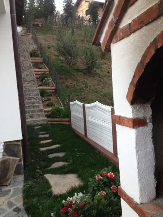 Pensiunea Rustic Borsa  Exterior photo