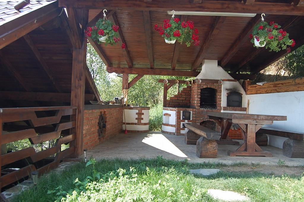 Pensiunea Rustic Borsa  Exterior photo