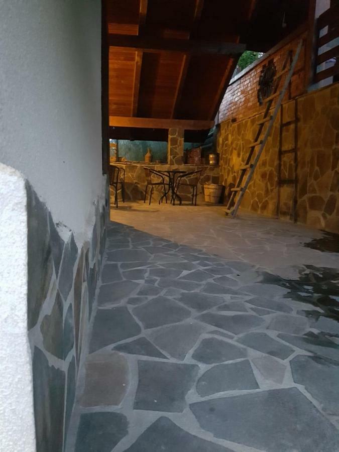 Pensiunea Rustic Borsa  Exterior photo